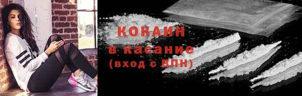 стаф Волоколамск
