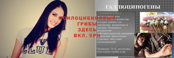 стаф Волоколамск
