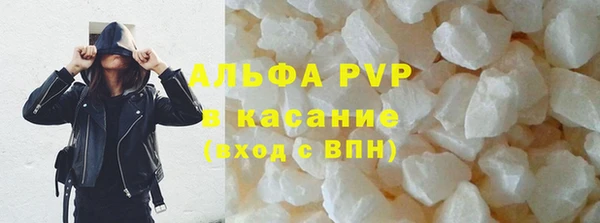 стаф Волоколамск